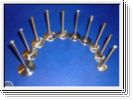 Typ4 Auslassventil 1,7L-2,0L  40mm 8mm Schaft